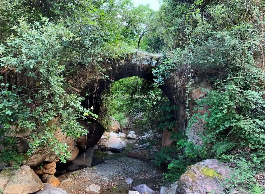 S'Orrosa Casa Vacanze Bifamiliare In Montagna Panorama Stupendo Sardegna Seùlo