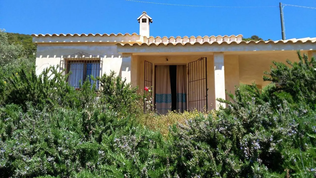 S'Orrosa Casa Vacanze Bifamiliare In Montagna Panorama Stupendo Sardegna Seùlo